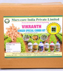 3186b981-ddd3-46d7-9ad0-ae2b676226a5