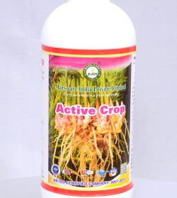 4f20a210-c517-4bbd-aef3-e9f4e2e3382e