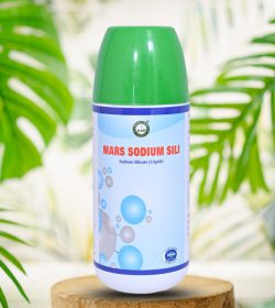 5a6879c2-a21f-41c2-9970-879749da8ab2 (1)