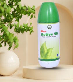 8cecf6d2-be45-461c-839f-d1d546444648