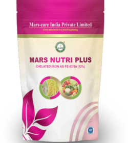 Screenshot 2025-07-23 102238