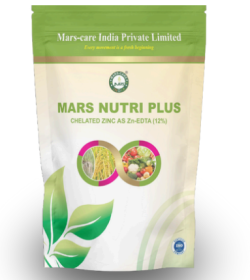 Screenshot 2025-07-23 102542