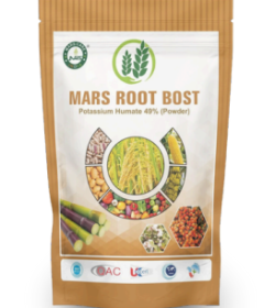 Screenshot 2025-07-23 111100