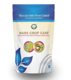 Screenshot 2025-07-23 113621