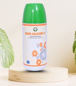 ae10714a-a1b7-425c-8bde-5bb07ec2b173