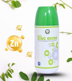 b4120c8d-6cdc-45ec-9ce6-a37e80eddf2c