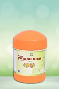 Mars Potash Rich