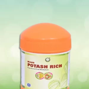 Mars Potash Rich