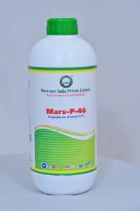 Mars Care India