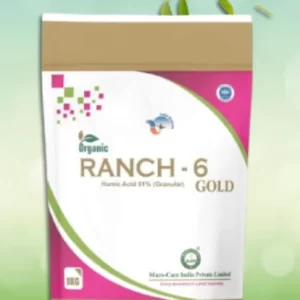 Ranch 6- GOLD