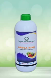Areca King