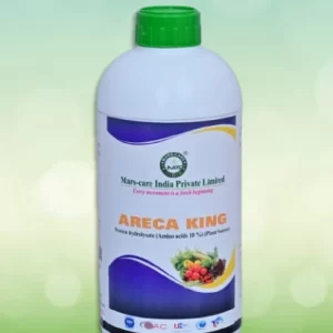 Areca King
